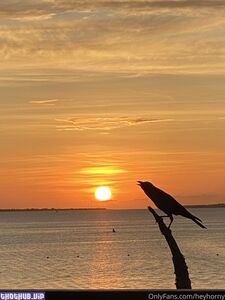 Mira aka heyhorny hot onlyfans leaked nudes