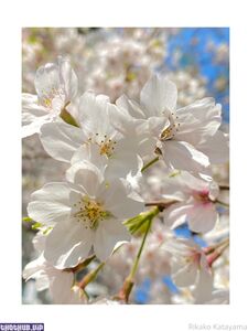 Mira aka heyhorny hot onlyfans leaked nude